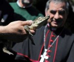 cocodrilo-cubano-vaticano-papa